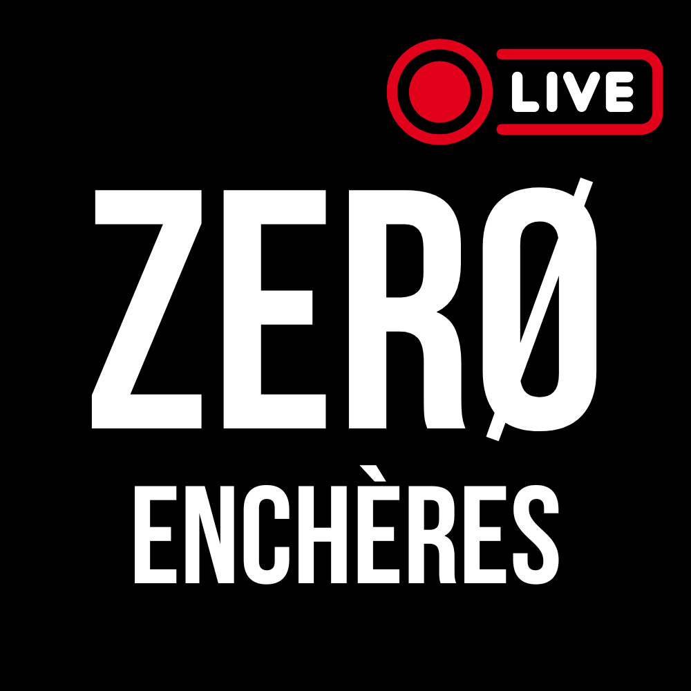 Article Enchères - ZERØ by Broken Icons